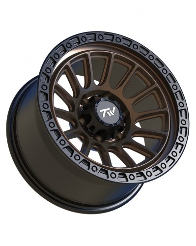 TW T22 Rotor 17x9